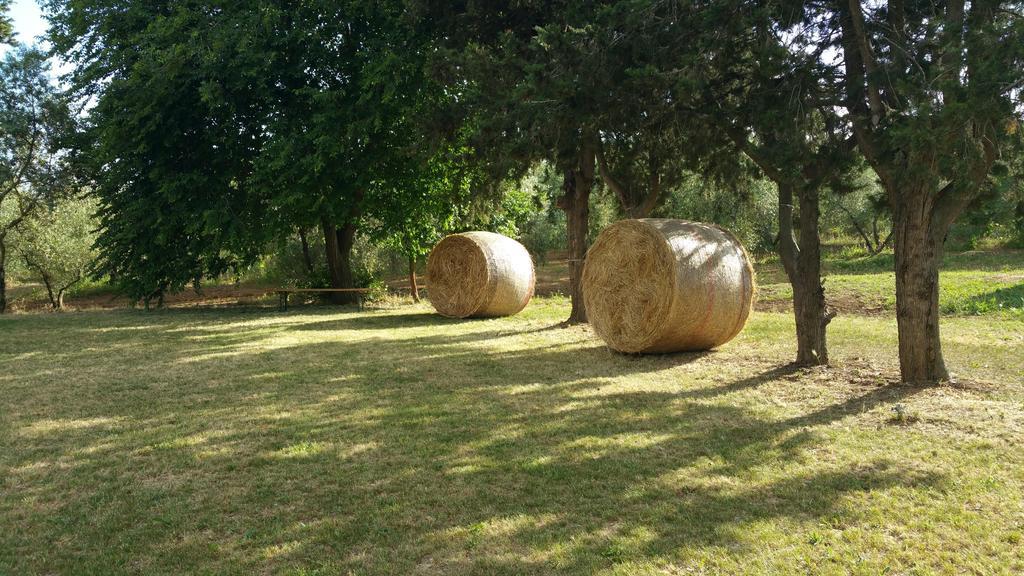 Agriturismo La Dolce Collina Villa Follonica Ngoại thất bức ảnh