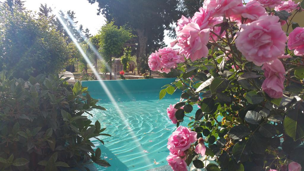 Agriturismo La Dolce Collina Villa Follonica Ngoại thất bức ảnh