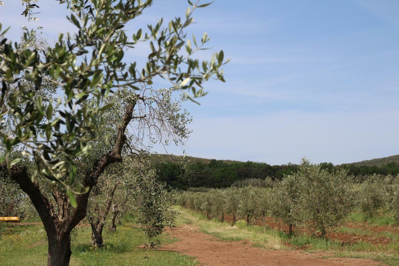 Agriturismo La Dolce Collina Villa Follonica Ngoại thất bức ảnh